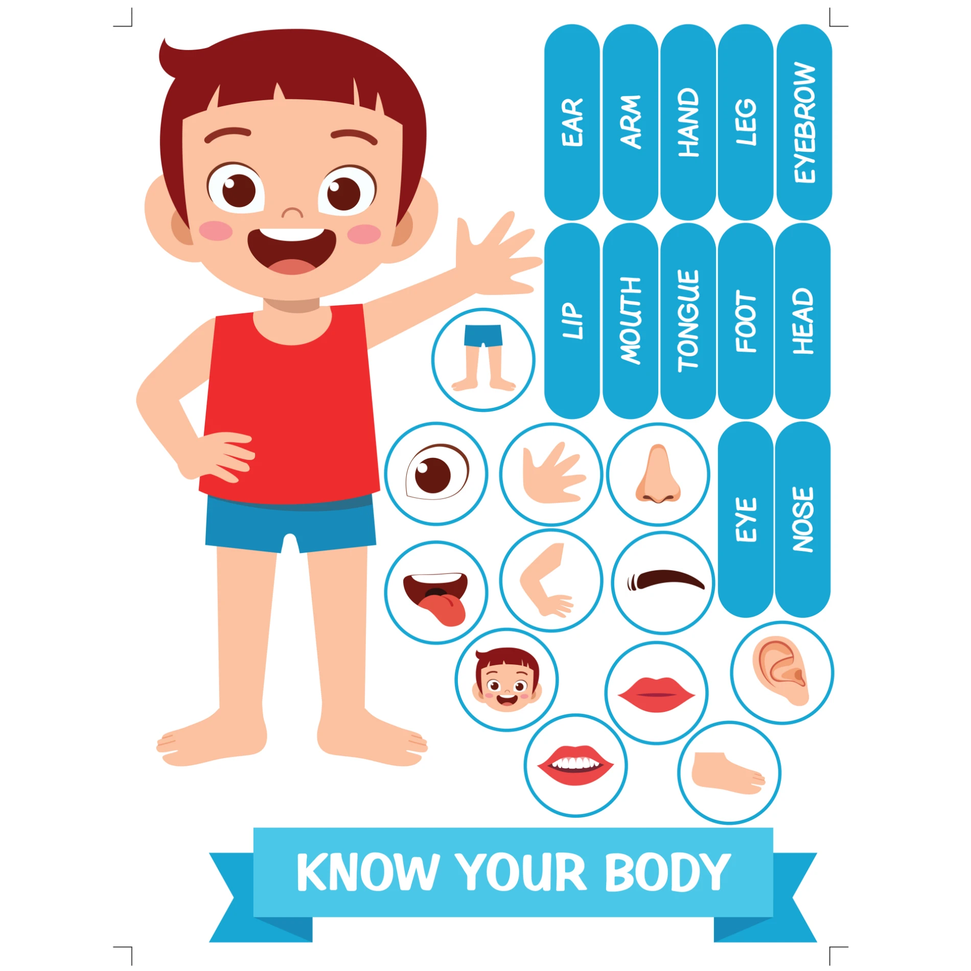 Know Your Body 