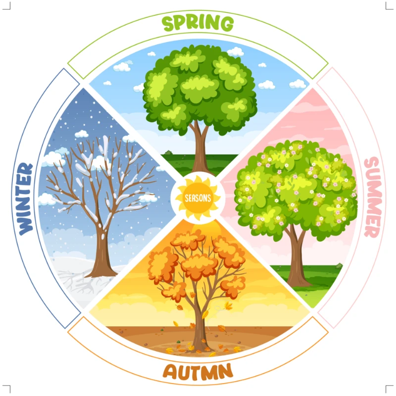 Seasons  (Model- 1)