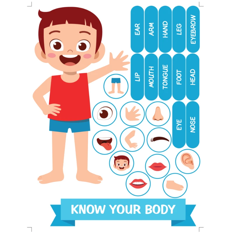 Know Your Body