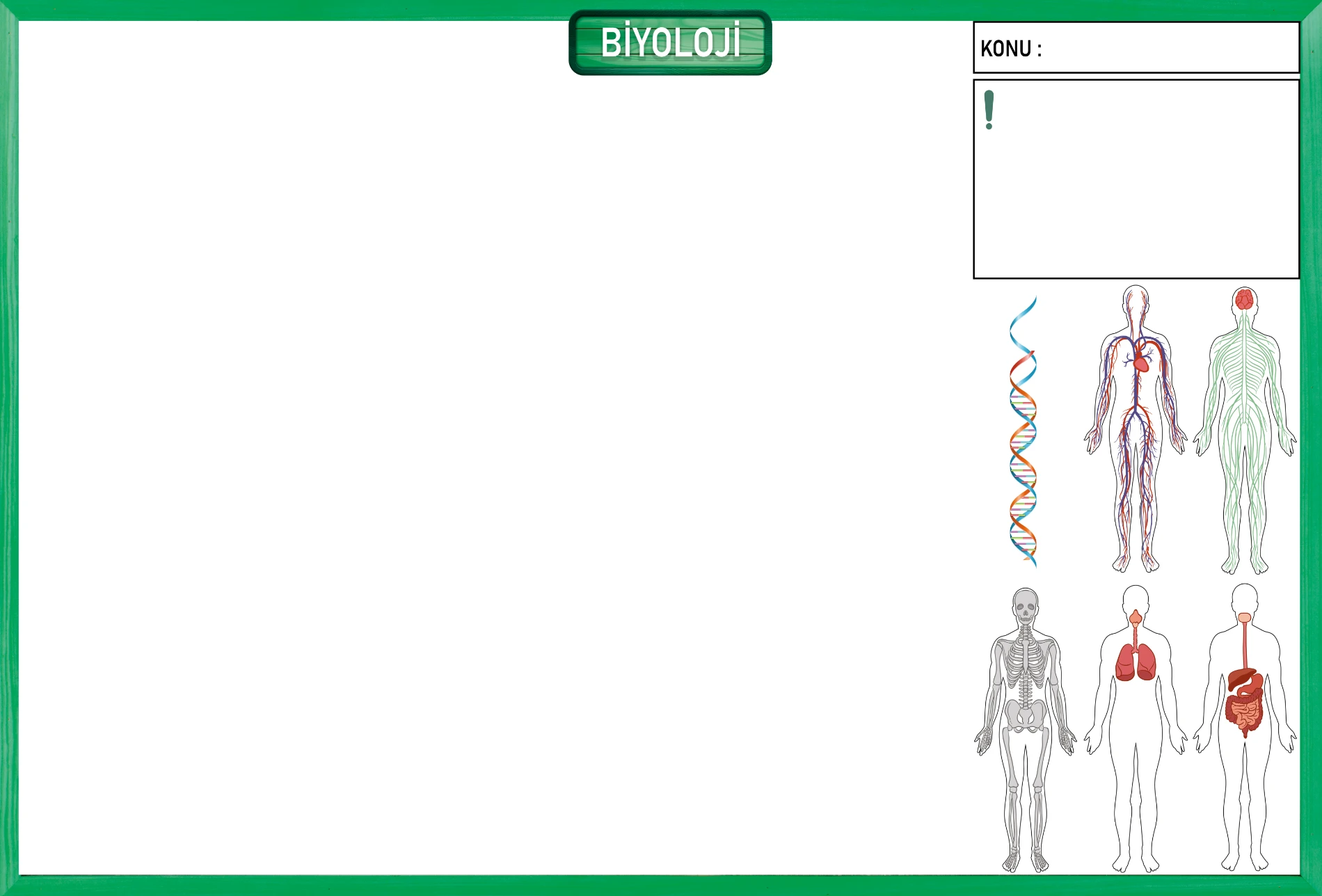 Yapışkanlı Biyoloji Branş Tahtası 