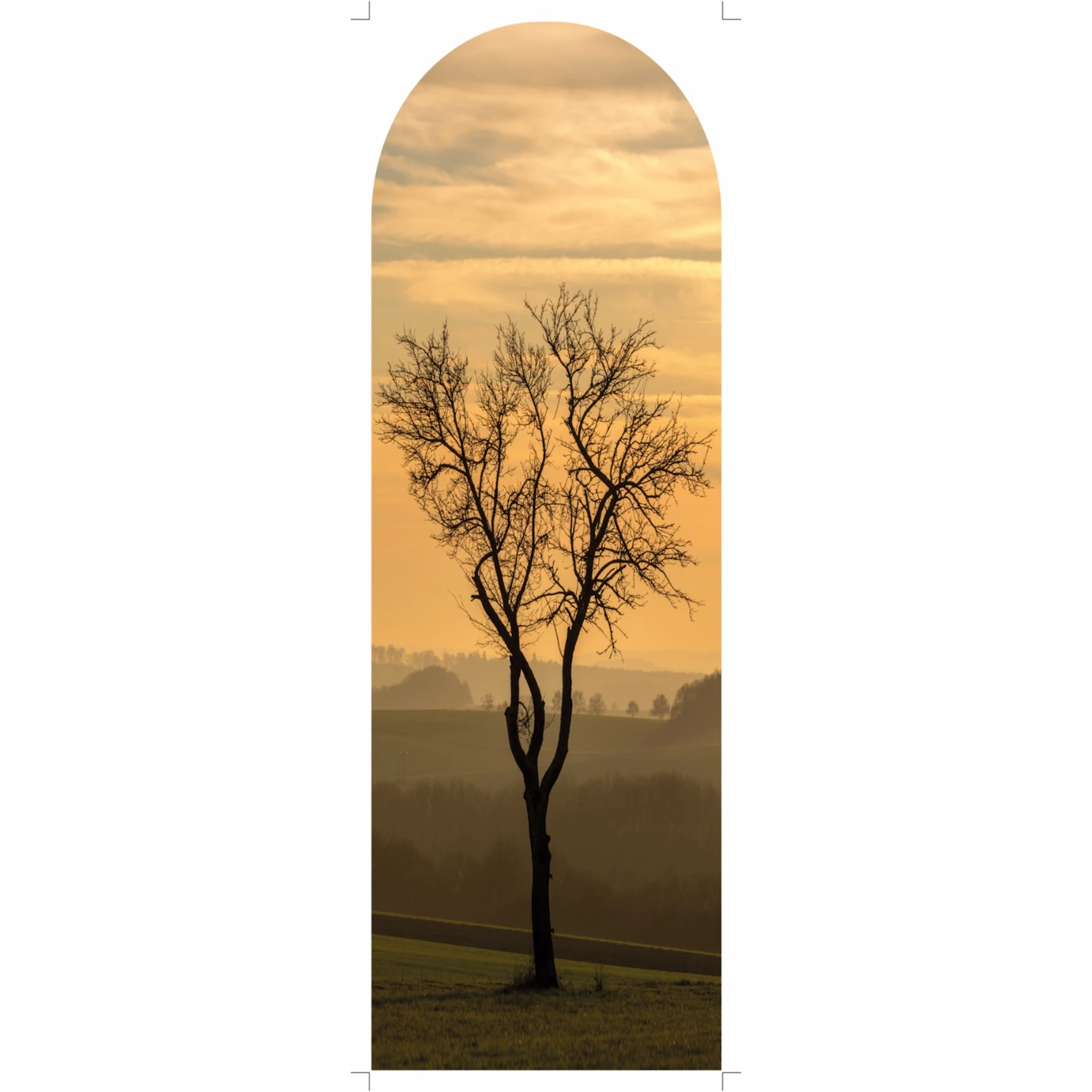 Ev Dekorasyon  Sticker (Model-71) 