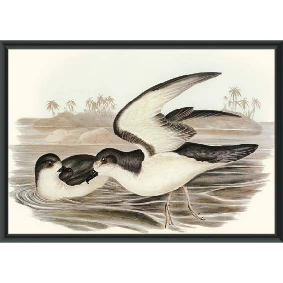 Statik Tutunma Özellikli Tablo - Poster Hayvan (Model-13) 