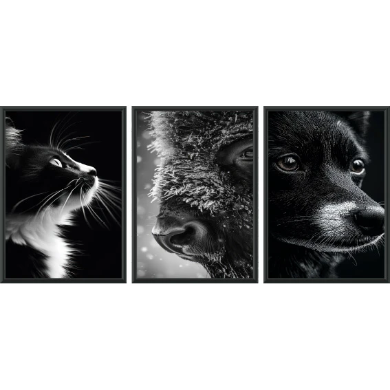 Statik Tutunma Özellikli Tablo - Poster Hayvan (Model- 18) 