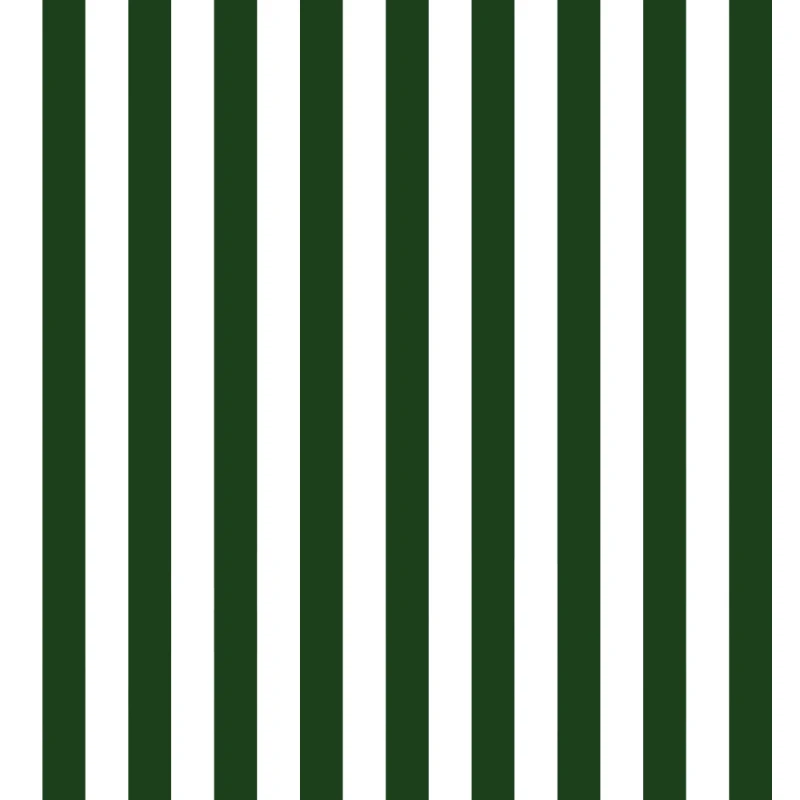 Duvar Kağıdı Çıta Desen (Model -9050)